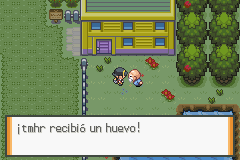 El anciano de la Guardería de la Ruta 34 entrega el Huevo de Igglybuff